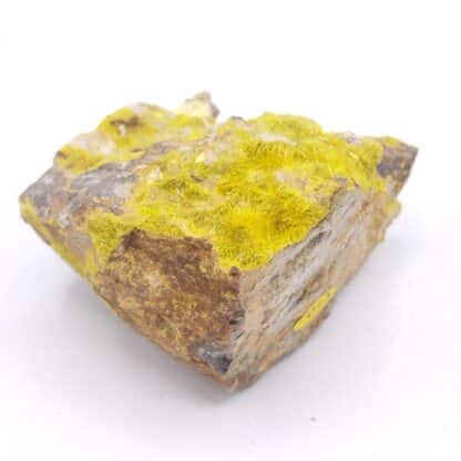 Uranophane (Uranotile), Les Bois Noirs, Forez, Puy-de-Dôme, Auvergne.