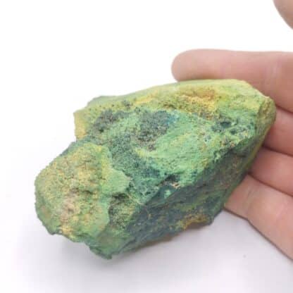 Vandenbrandéite, Musonoï, Katanga, Congo RDC.