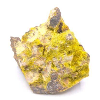 Uranophane (Uranotile), Les Bois Noirs, Forez, Puy-de-Dôme, Auvergne.