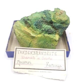 Vandenbrandéite, Musonoï, Katanga, Congo RDC.